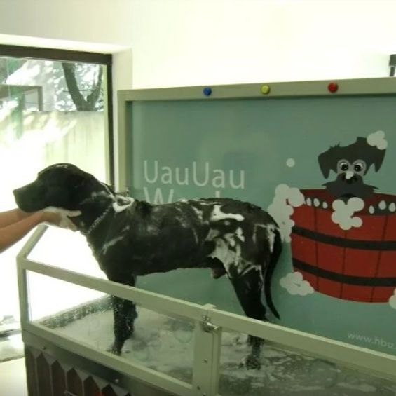 VMtecnologia com HBU Indústria e Comércio criam lava-rápido para pets com autoatendimento